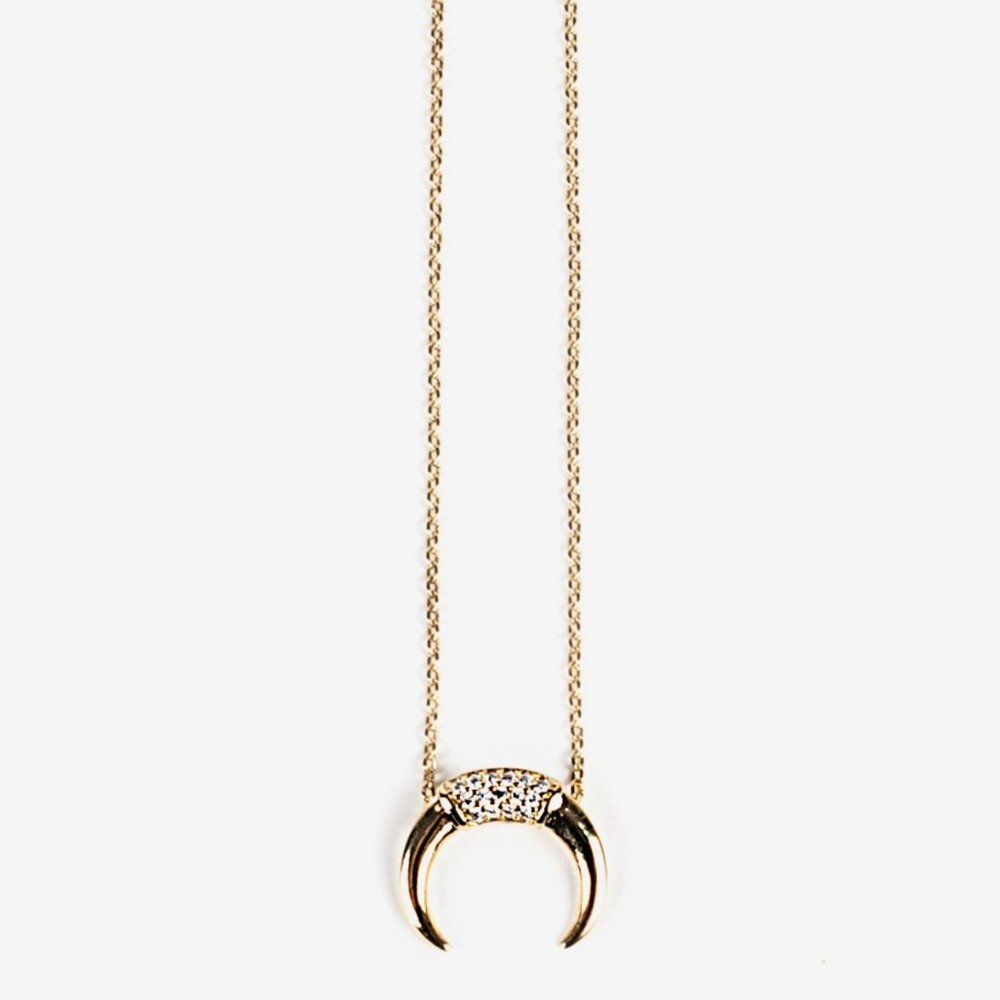 Horn Charm Necklace ✨